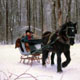 Sleigh Rides
